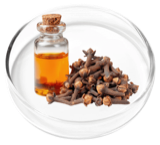 Clove bud oil