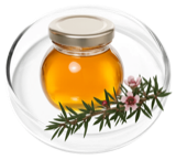 Manuka oil