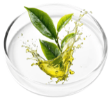 Tea tree oil