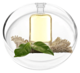Camphor oil